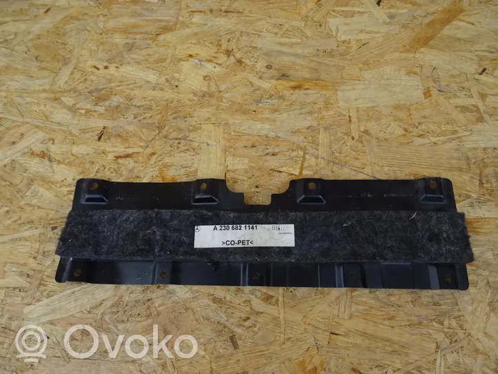 Mercedes-Benz SL AMG R230 Other exterior part A2306821141