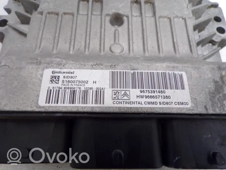 Citroen C4 I Picasso Other control units/modules 9675391480