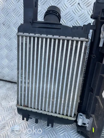 Dacia Lodgy Coolant radiator 