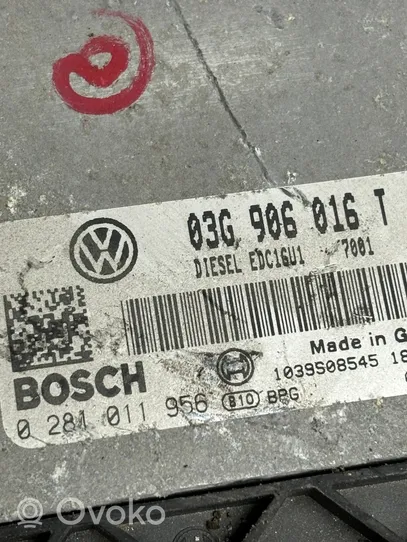 Volkswagen Golf V Muut ohjainlaitteet/moduulit 