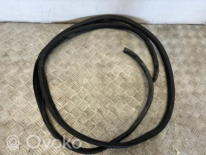 Renault Trafic III (X82) Front door rubber seal 