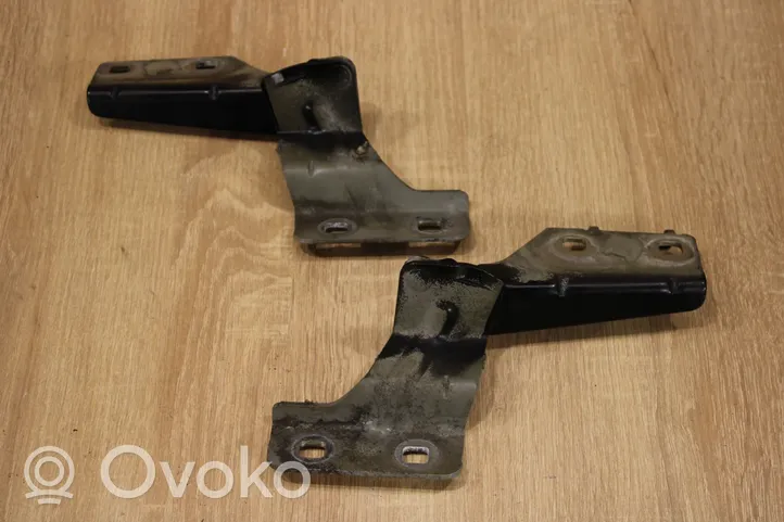 Renault Megane II Engine bonnet/hood hinges 