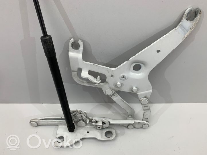 BMW X6 F16 Cerniere del vano motore/cofano 7294529