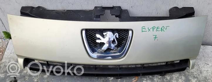 Peugeot Expert Front grill 