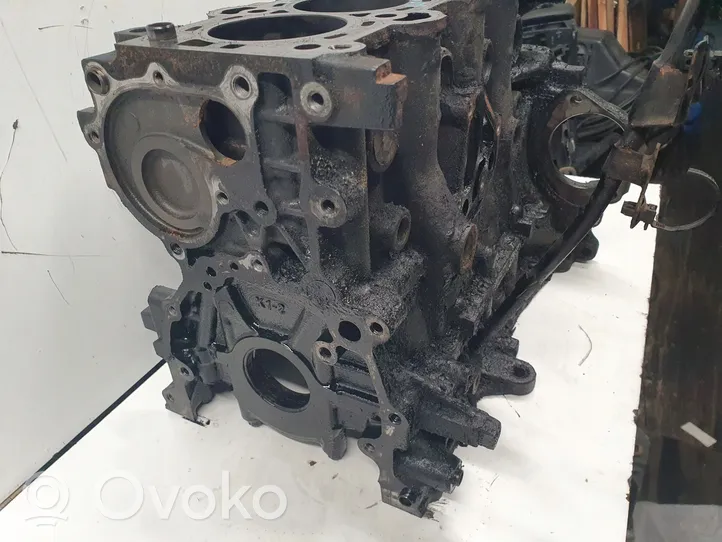 KIA Sportage Motorblock 