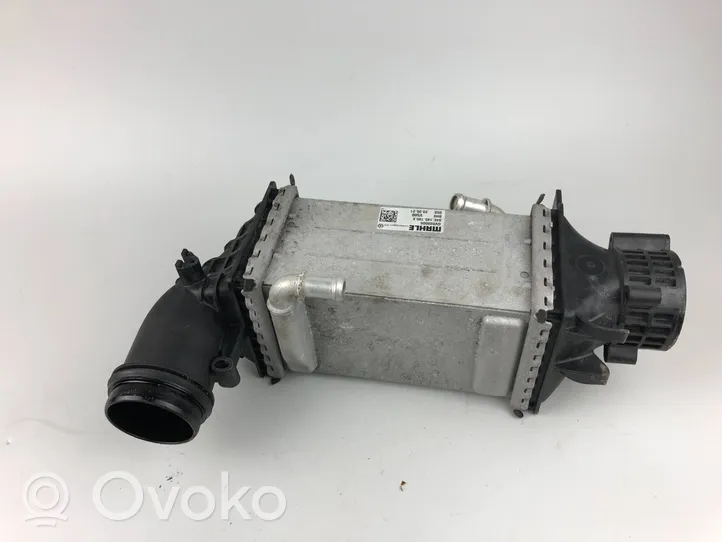 Volkswagen Golf VIII Chłodnica powietrza doładowującego / Intercooler 04E145785E