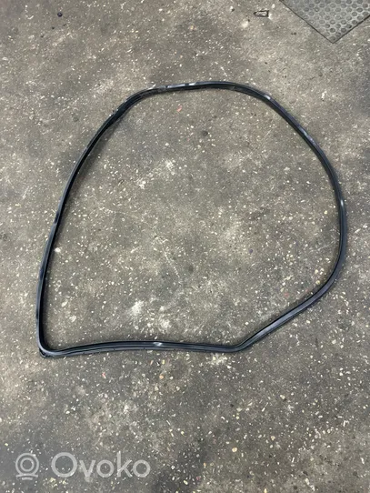 Hyundai Tucson TL Rear door rubber seal (on body) 