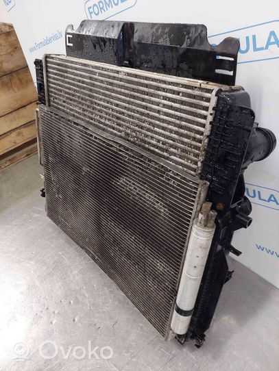 Volkswagen Crafter Radiator set 9065050655