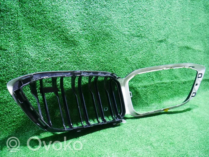 BMW M2 F87 Front bumper upper radiator grill 8073540