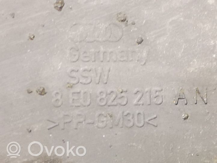 Audi A4 S4 B7 8E 8H Osłona tylna podwozia 8E0825215AN