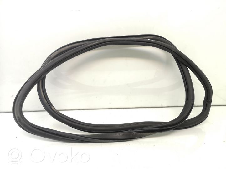 Volkswagen Jetta VI Rear door rubber seal (on body) 