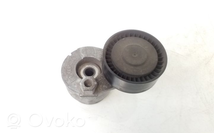 Nissan Qashqai Generaattorin/laturin hihnankiristin 8200460446