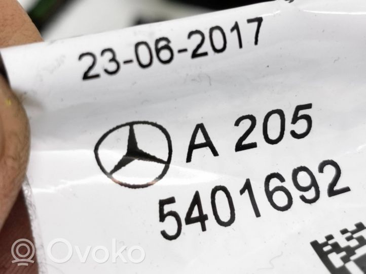 Mercedes-Benz EQC Etuoven johtosarja A2055401692
