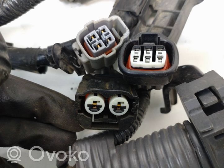 Toyota Auris E180 Engine installation wiring loom 024893