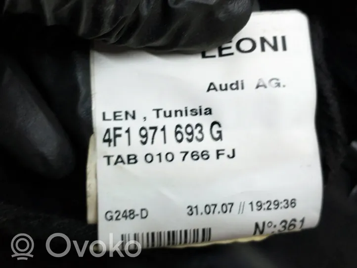 Audi A6 Allroad C6 Garniture panneau de porte arrière 4F0867305