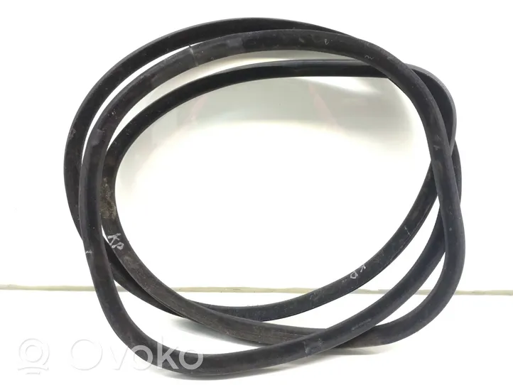 Volvo S60 Front door rubber seal 