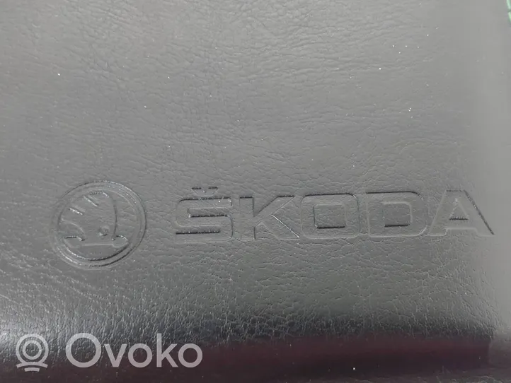 Skoda Fabia Mk3 (NJ) Instrukcja obsługi 