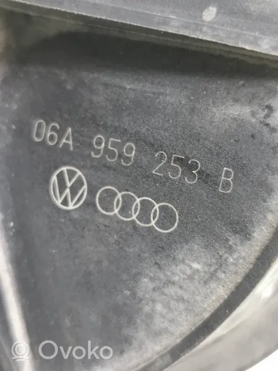 Volkswagen Golf Plus Pompa powietrza wtórnego 06a959253b