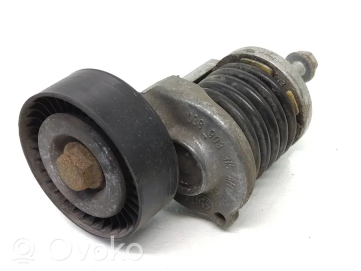 Volkswagen PASSAT B7 Tendicinghia generatore/alternatore 038903315