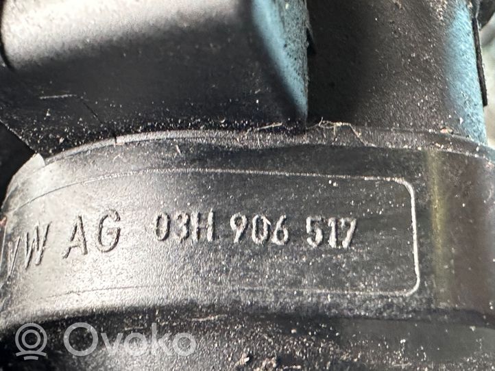 Porsche Cayenne (92A) Valvola sfiato del serbatoio 03H906517
