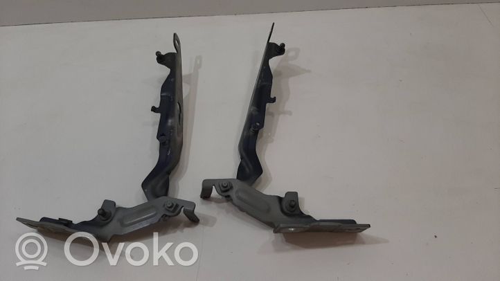 Volvo S60 Cerniere del vano motore/cofano 30799179