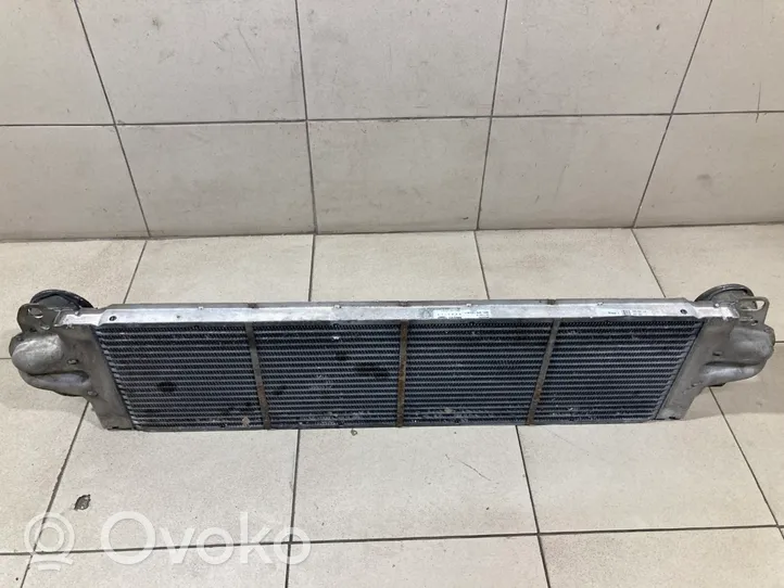 Volkswagen Transporter - Caravelle T5 Chłodnica powietrza doładowującego / Intercooler 8ML376723511