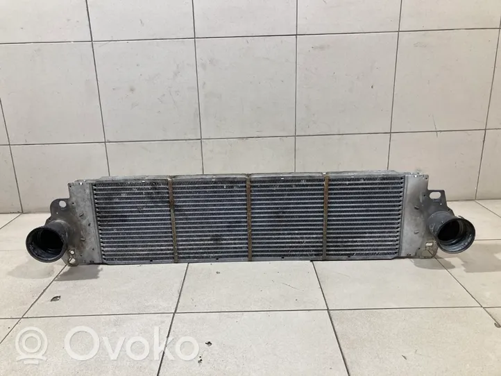 Volkswagen Transporter - Caravelle T5 Intercooler radiator 8ML376723511