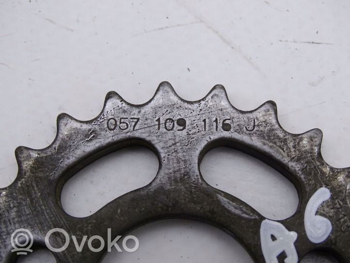 Audi A6 S6 C6 4F Timing chain (engine) 057109116J