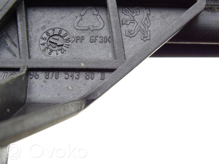 Citroen DS5 Durų stiklo bėgelis 9687054380