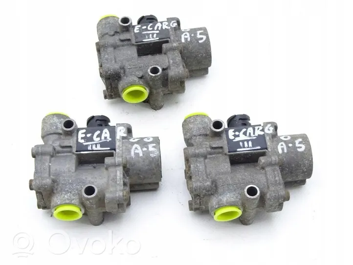 Iveco EuroCargo Amortizatoriaus solenoidas 4721950550