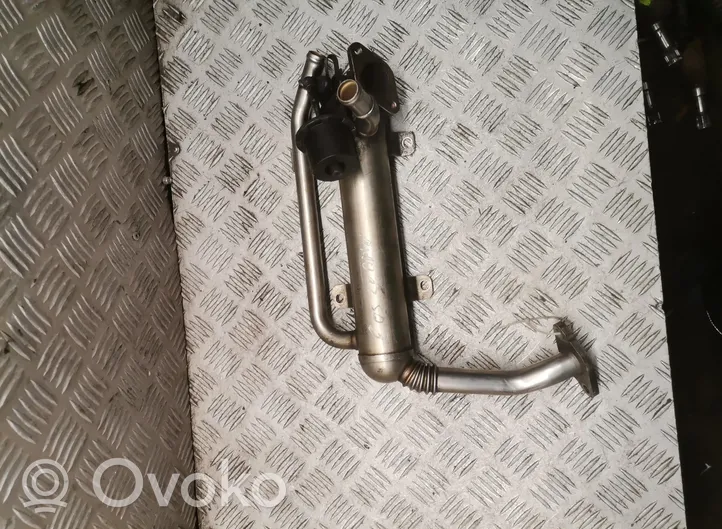 Volkswagen Eos EGR aušintuvas 