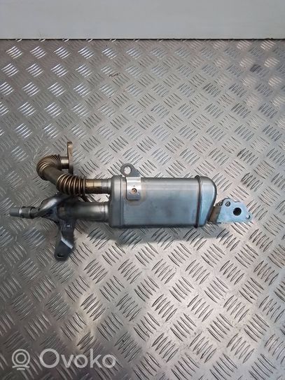 Nissan Juke I F15 EGR-venttiili/lauhdutin 147350364R