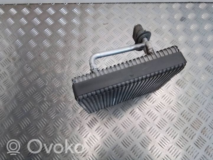 Hyundai Santa Fe Air conditioning (A/C) radiator (interior) 