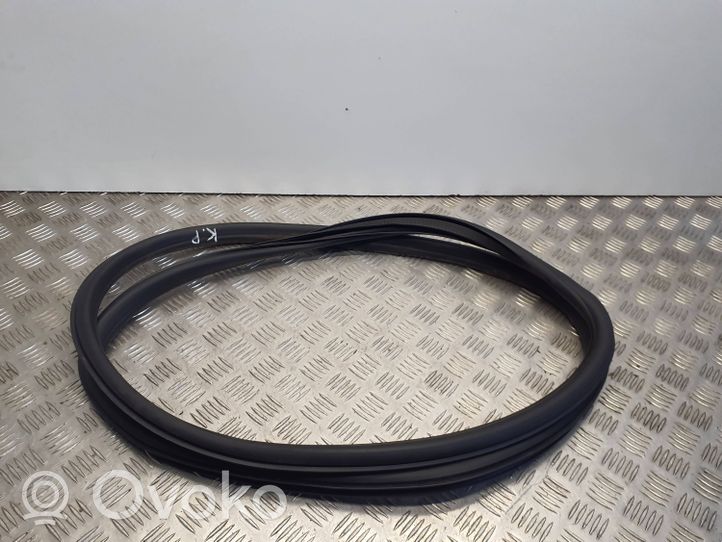 Opel Astra J Front door rubber seal 