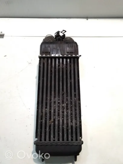 Peugeot 207 Chłodnica powietrza doładowującego / Intercooler 9651184880