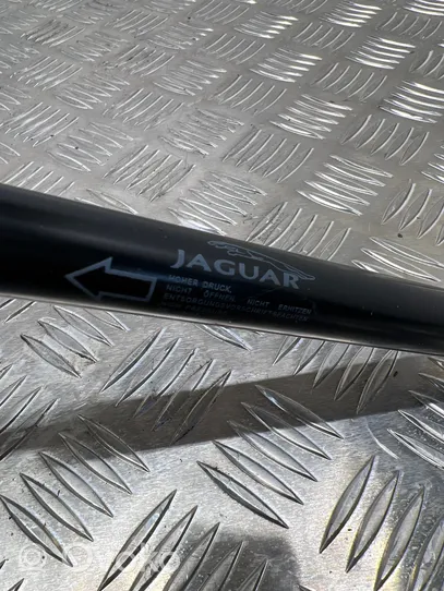Jaguar XF X260 Konepellin kaasujousi GX7316C826AB