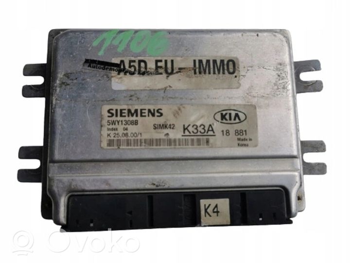 KIA Rio Kit calculateur ECU et verrouillage 5WY1308B