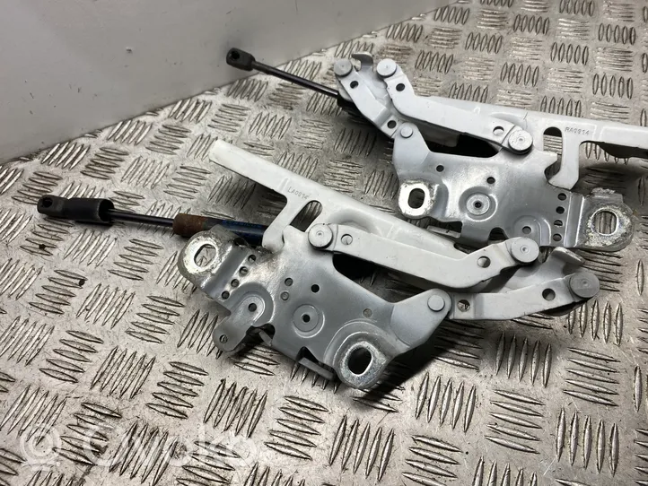 BMW 4 F32 F33 Cerniere del vano motore/cofano 7336700