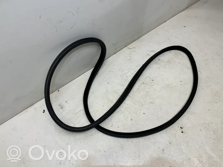 BMW 5 F10 F11 Front door rubber seal 7182270