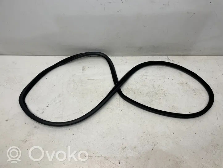 BMW 5 F10 F11 Rear door rubber seal (on body) 7199775