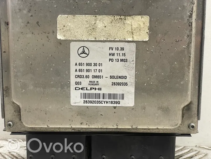 Mercedes-Benz A W176 Блок управления двигателя A6519003001