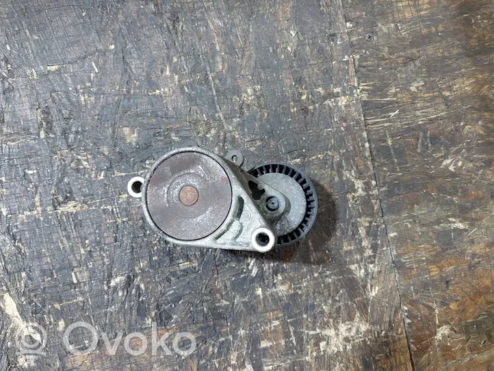 BMW 3 E46 Napinacz paska alternatora F-226008.2