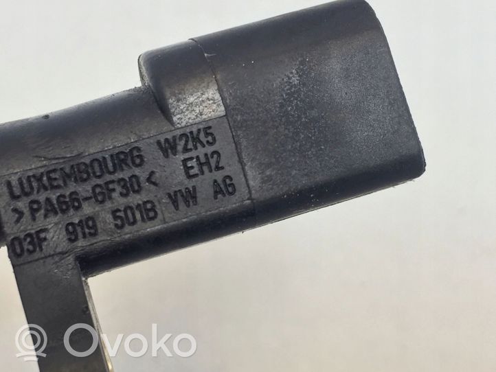 Seat Tarraco Czujnik temperatury płynu chłodzącego 03F919501B