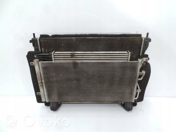 Opel Antara Kit Radiateur 95102335