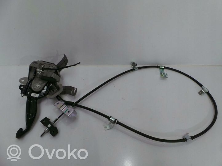 Hyundai Ioniq Rankinio mechanizmas (salone) 