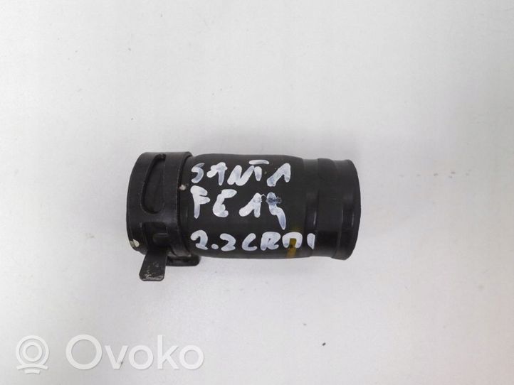 Hyundai Santa Fe Tuyau de liquide de refroidissement moteur 256912F00