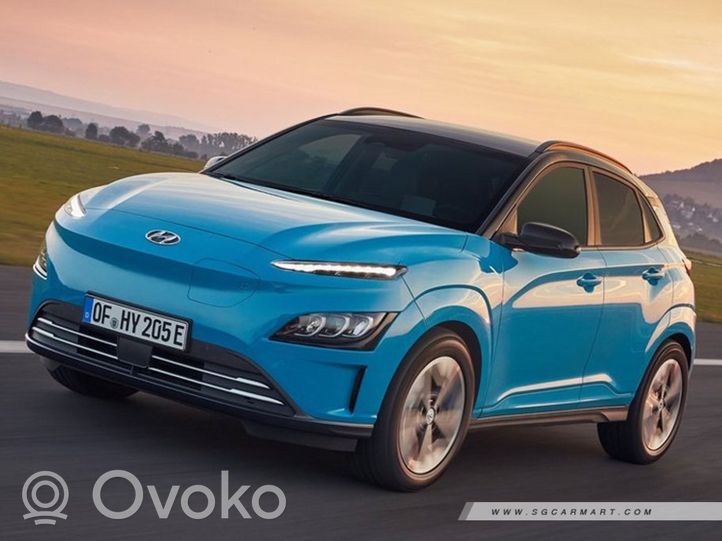 Hyundai Kona I Drzwi tylne DRZWI