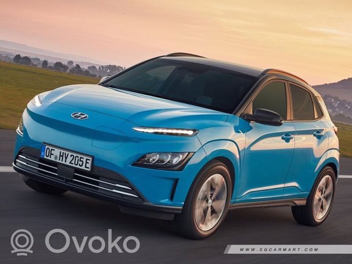 Hyundai Kona I Takakallistuksenvaimentajan tanko QJHQJS