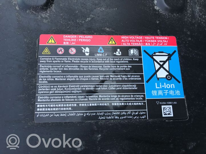 Ford Kuga III Hybrid/electric vehicle battery LX6810B759GH