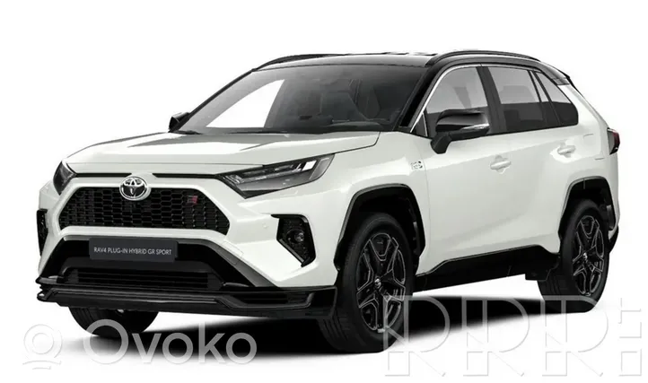 Toyota RAV 4 (XA50) Steuergerät Hochdruckkraftstoffpumpe 8957148010